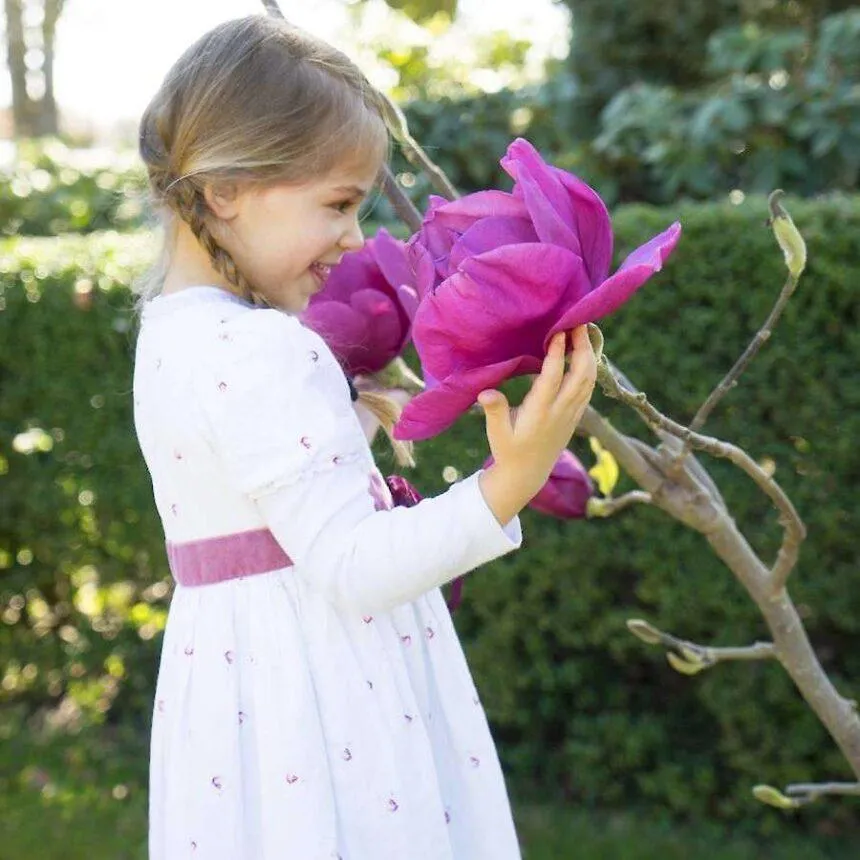 MAGNOLIA “Meganolia”-mirisna - cover