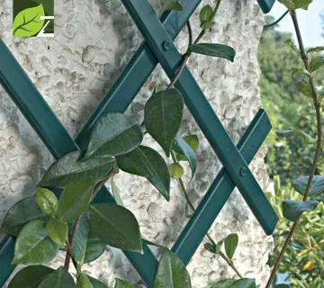 Dekorativna prilagodljiva rešetka TREPLAS - cover