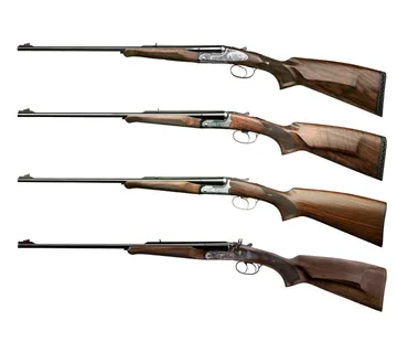 Fair ISIDE SAFARI - cover