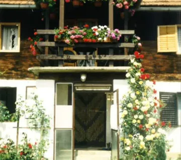 Posavska kuća katnica - cover