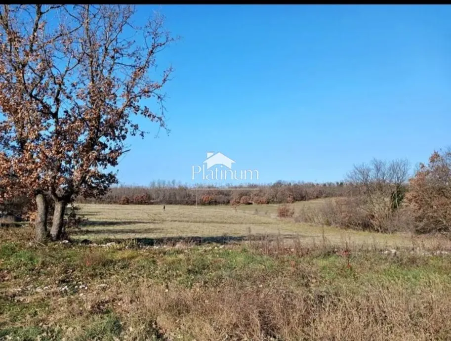 Fotografija