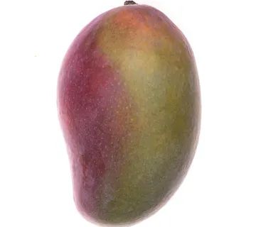 Mango *Fruit Club* - cover