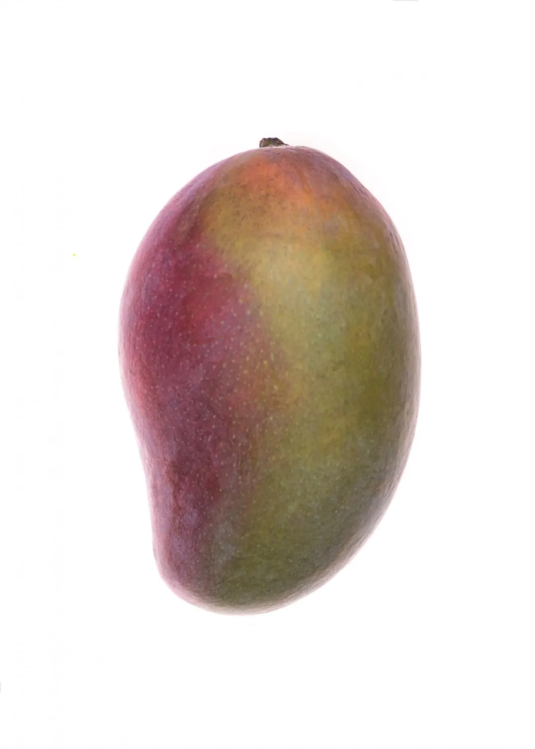 Mango *Fruit Club* - cover