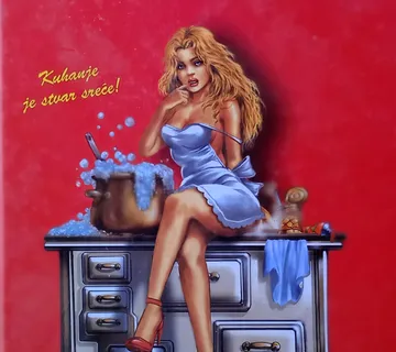 KUHARICA ZA PLAVUŠE kuhanje je stvar sreće - cover