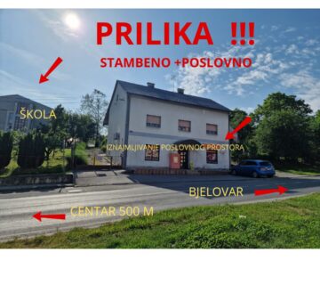 PRILIKA!!! USELJIVA KUĆA S UHODANIM POSLOVNIM PROSTOROM - cover