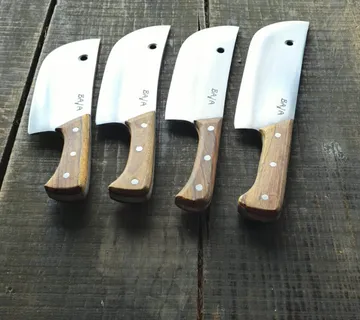 Dalmatinska satara - cover