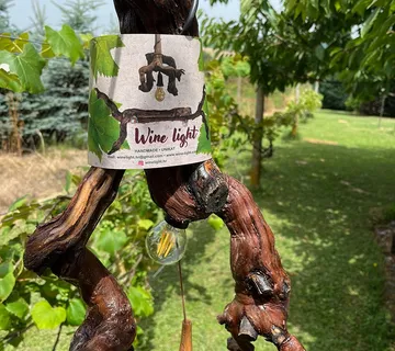 Wine light - One - cover