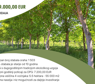 5.5 ha voćnjaka, 1500 stabala oraha, EKO OPG, osigurane polj.potpore - cover