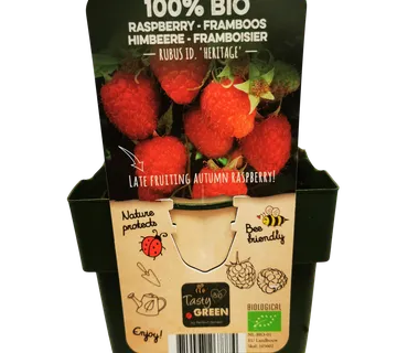 MALINA “Heritage” - cover