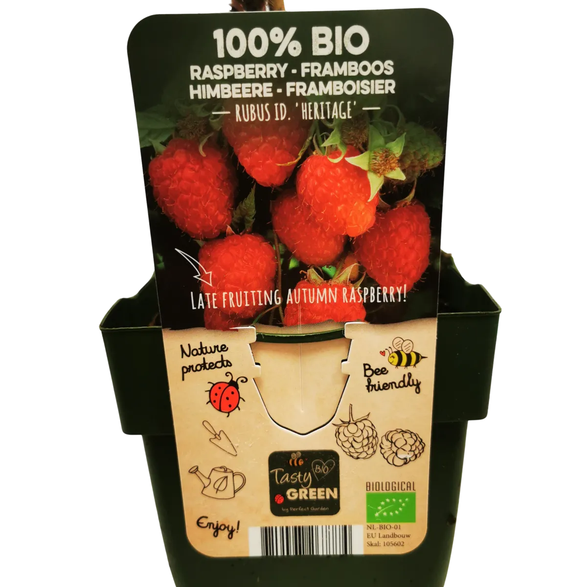 MALINA “Heritage” - cover