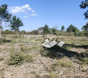 Istra, Bale, poljoprivredno zemljište 12400m2, TOP LOKACIJA, prodaja - cover