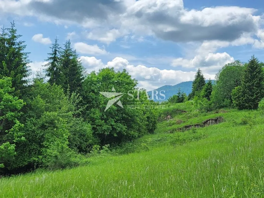 Fotografija
