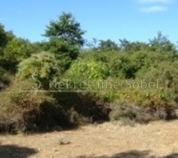 Cres, Beli - Poljoprivredno, 47534 M2 Prodaja - cover