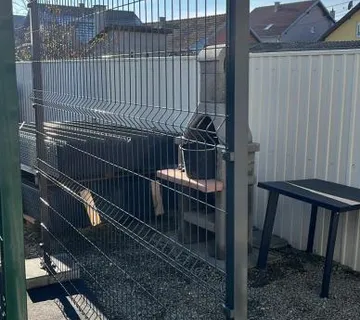 Panel ograda (5mm) 173 x 250 cm **NOVO**3D** - cover