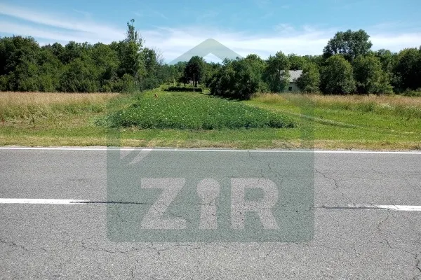Fotografija