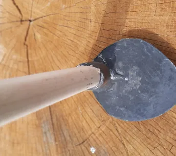 Motika srcolika - cover