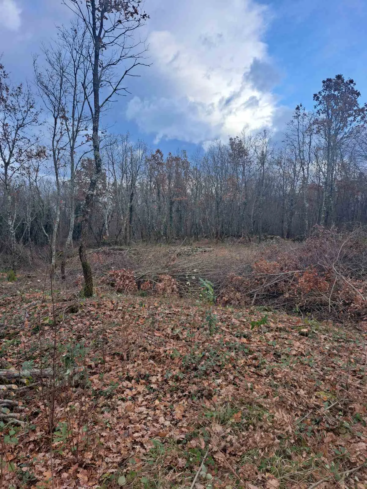 Građevinsko zemljište, Kringa, Tinjan, Istra, vel. 1150 m2 - cover