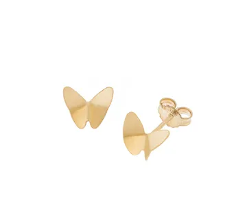 Leptir naušnice - cover