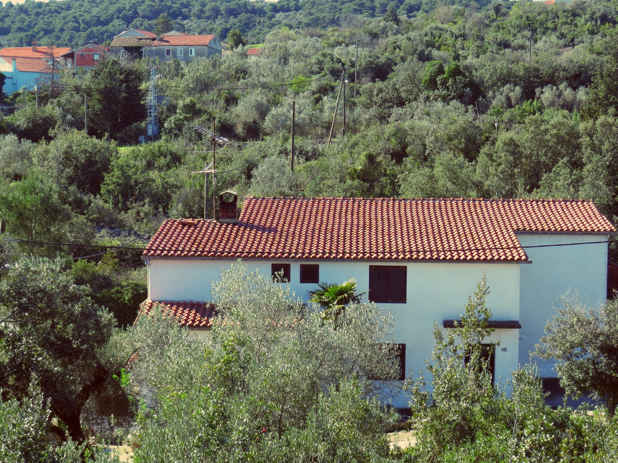 Fotografija