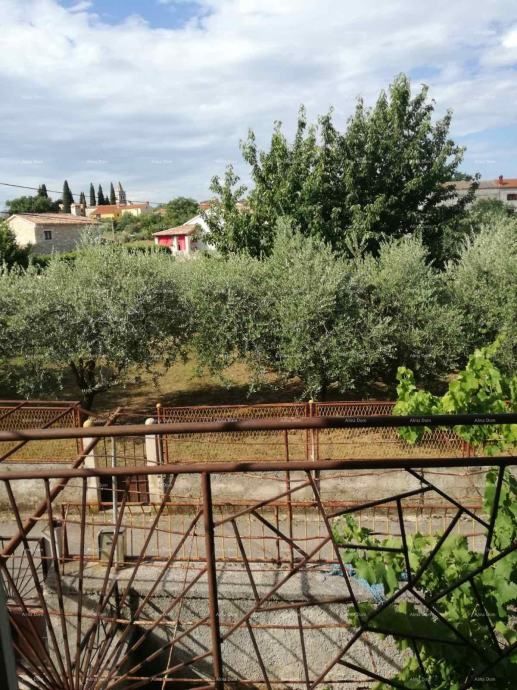 Fotografija
