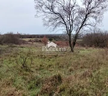 Istra,Cokuni na prodaju kombinirano zemljište - cover