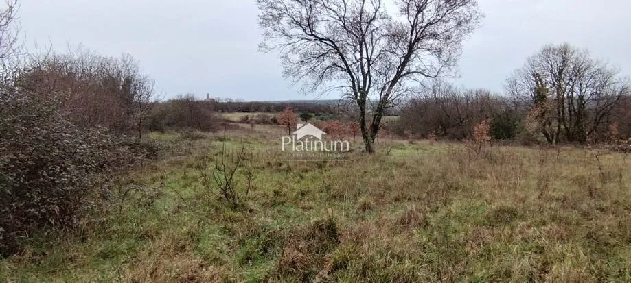 Fotografija