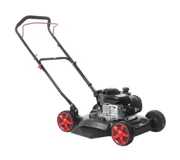 Kosilica za travu LM51FGB-BS300 Briggs&Stration - st - cover