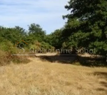 Cres, Beli - Poljoprivredno, 34695 M2 Prodaja - cover