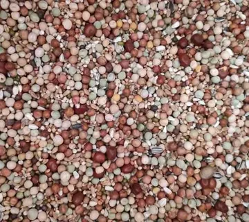 LIÈGE MIXTURE 25kg / Protein Mix 25kg BR.11 - cover