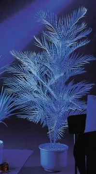 EUROPALMS Kentia palm tree, uv-white, 90cm - cover