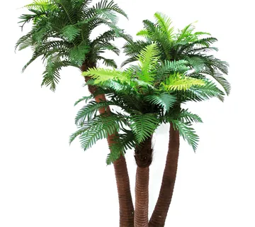 EUROPALMS Fern palm, 240cm - cover