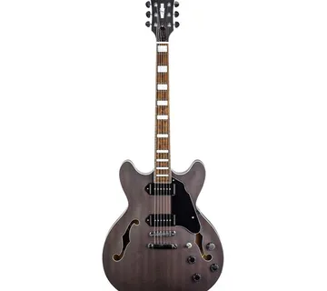 GROTE GT335-04 GRAY ILI VS ELEKTRIČNA GITARA - cover