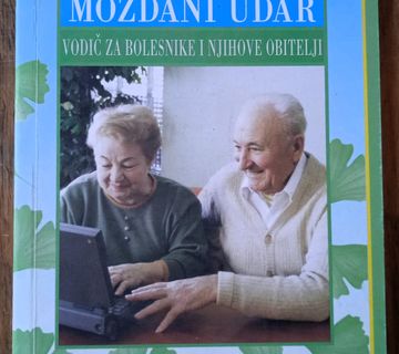 MOŽDANI UDAR Vodić za bolesnike i njihove obitelji Vida Demarin - cover