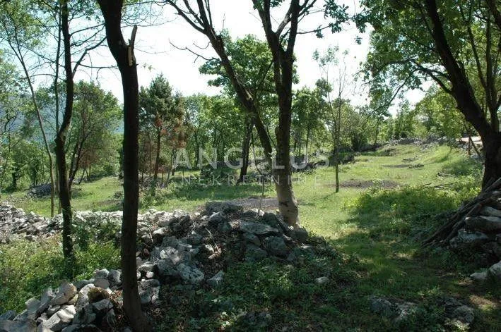 Labin, Matjašići - zemljište na prodaju, 79.000m2 - cover