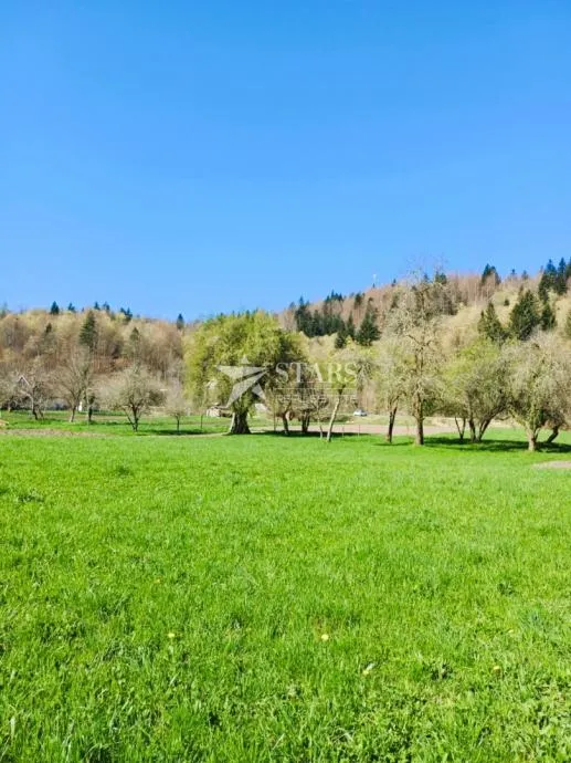 Fotografija