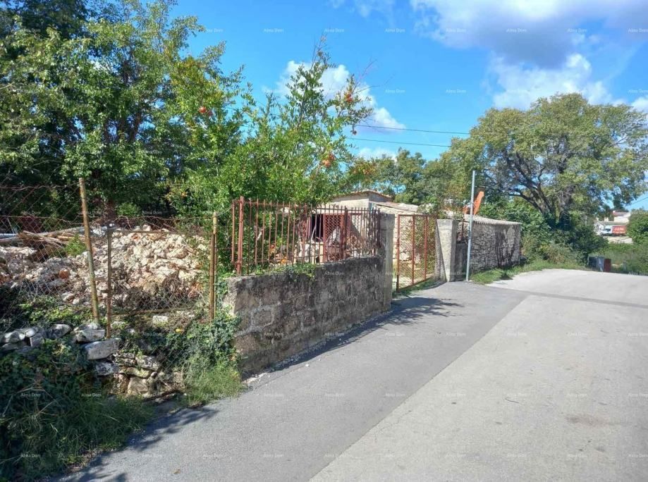Fotografija
