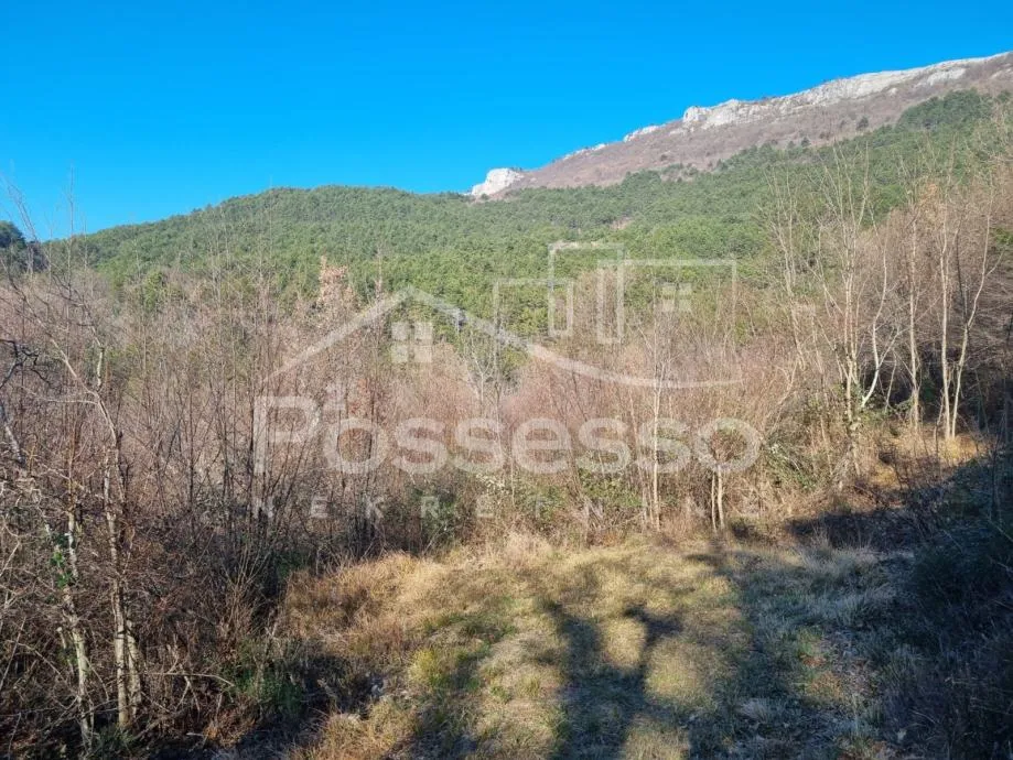 Zemljište Prodaja Buzet 4280 m2 - cover