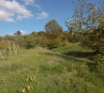 BUZET OKOLICA- GRAĐEVINSKA PARCELA SA POLJOPRIVREDNIM ZEMLJIŠTEM NA P - cover