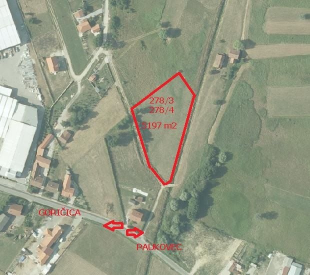 Fotografija