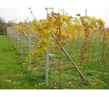 Potporni stup-metalni, pocinčani-v 2300 mm - cover