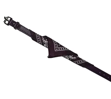 Ogrlica sa maramom - cover