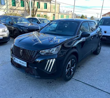 Peugeot 2008 Business PureTech 100 - cover