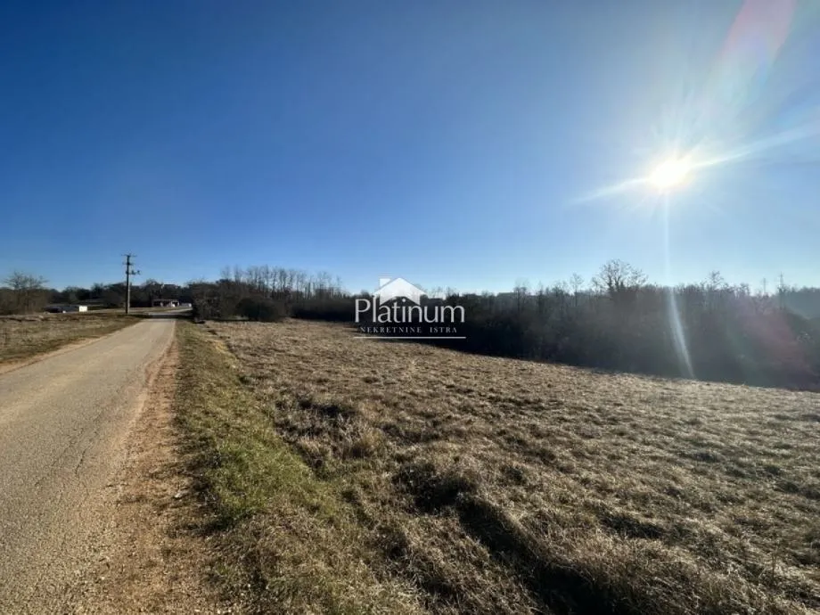 Fotografija