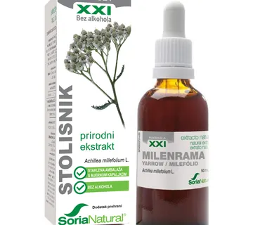 Stolisnik XXI ekstrakt - cover