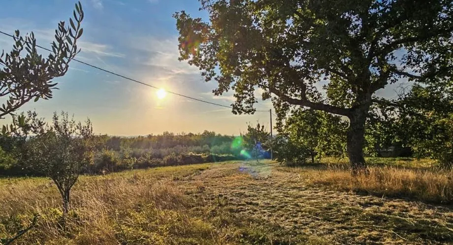 ISTRA, OPRTALJ – Kamena kuća s velikim investicijskim potencijalom - cover