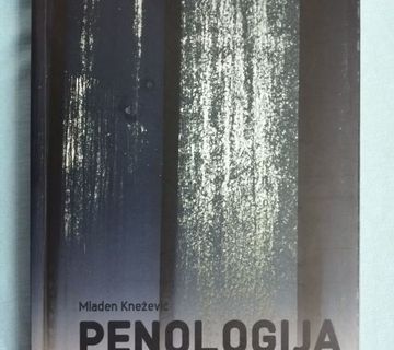 Mladen Knežević – Penologija u socijalnom radu [A15] - cover