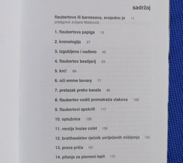 Julian Barnes – Flaubertova papiga - cover