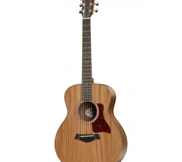 TAYLOR GS MINI MAHOGANY - cover