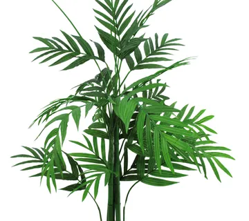 EUROPALMS Areca palm tree, 230cm - cover
