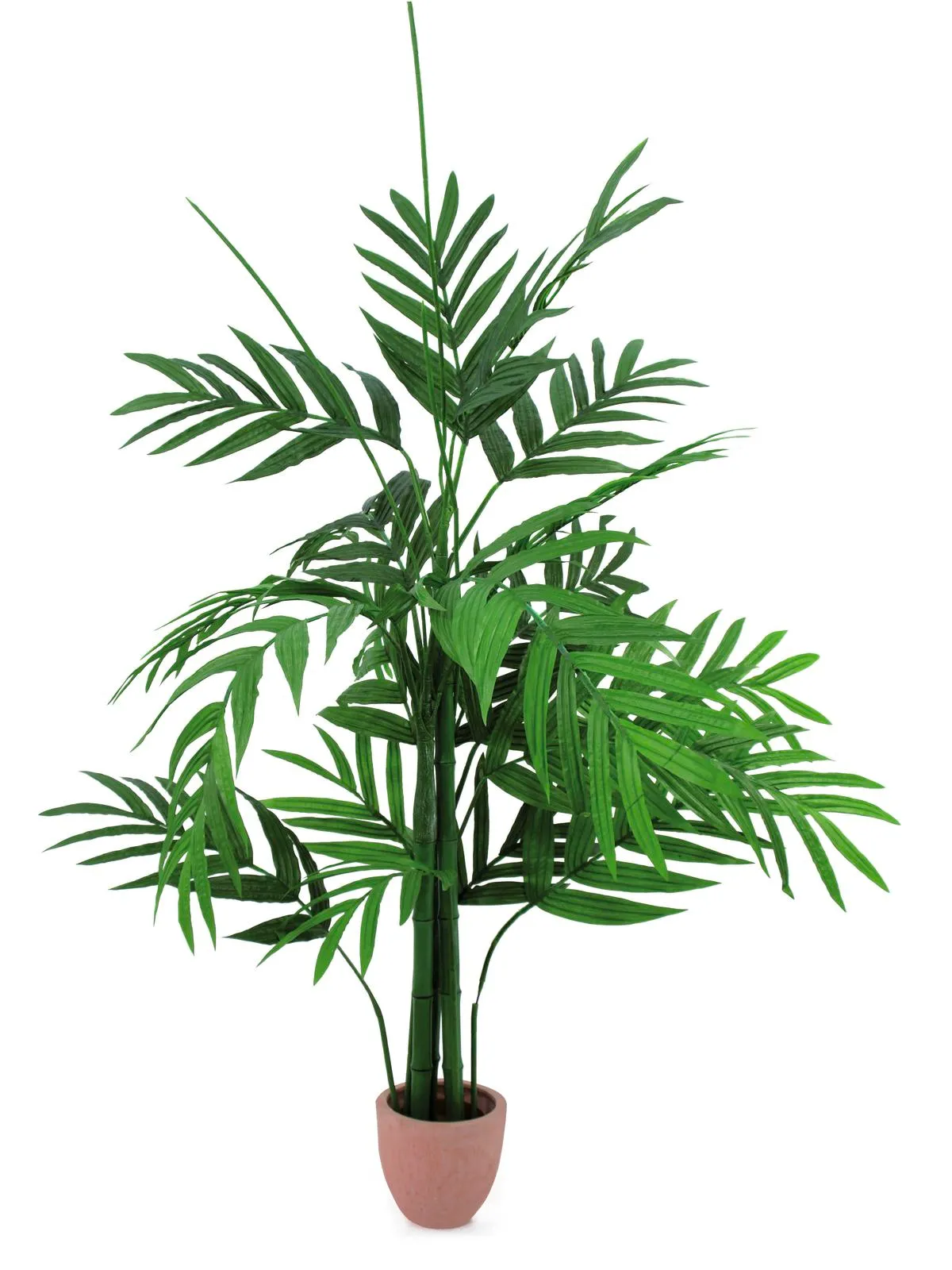 EUROPALMS Areca palm tree, 230cm - cover